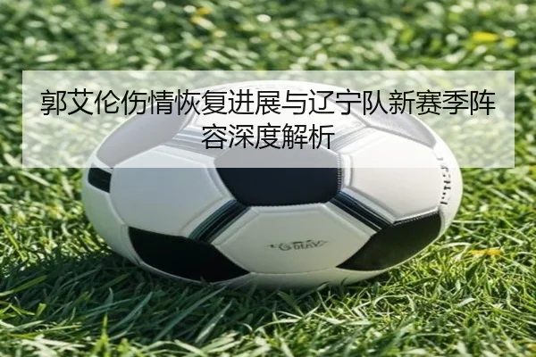 郭艾伦伤情恢复进展与辽宁队新赛季阵容深度解析 | NG28 SPORTS
